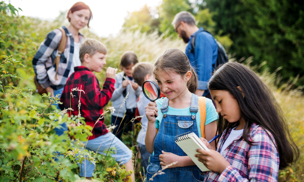 Bei einem Ausflug in die Natur können Schüler:innen viel entdecken. ©Halfpoint/AdobeStock